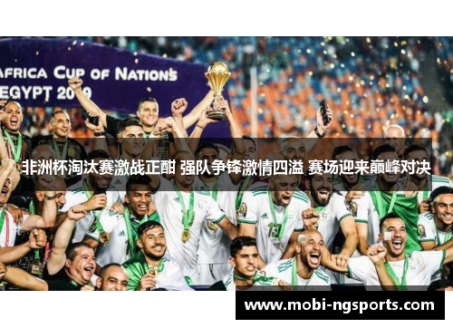 非洲杯淘汰赛激战正酣 强队争锋激情四溢 赛场迎来巅峰对决