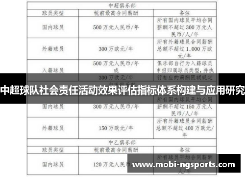 中超球队社会责任活动效果评估指标体系构建与应用研究